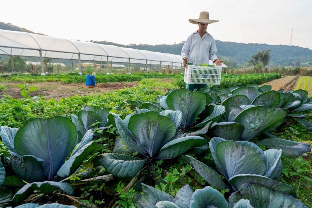 Com o Fundo de Terras, os beneficiários contratam os financiamentos, com 20 anos de prazo para pagar, sendo dois anos de carência, com correção de 2,5% ao ano.