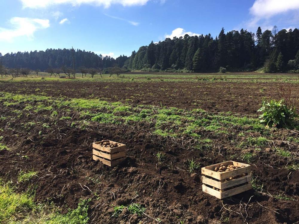 O TMF.NUTBIO será lançado oficialmente em duas importantes feiras do setor Agro, Bela Safra e Rural Show, que acontecem de 31/1 a 3/2 e de 6 a 10/2, respectivamente. 