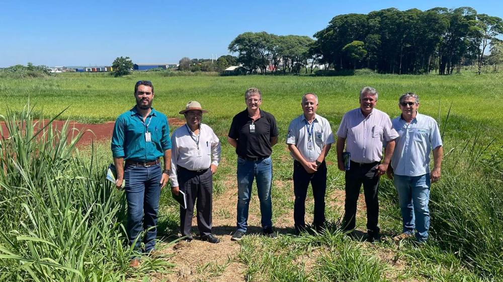 A Vitrine vai se basear em três pilares tecnológicos: produção sustentável, cultivo protegido e uso racional da água, por meio de sistemas de irrigação adequados.
