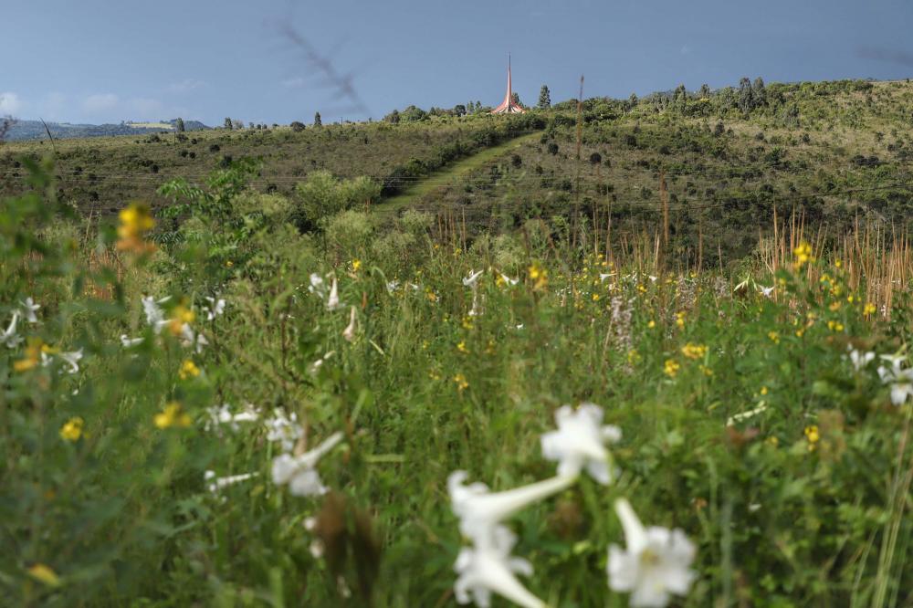 Pesquisadores botânicos percorrem diversas áreas protegidas no Paraná em busca de espécies ameaçadas da flora. Na foto, Parque Estadual de Vila Velha. Foto: José Fernando Ogura/Arquivo AEN