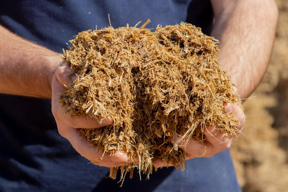 Com o uso do NOA, o controle de qualidade de insumos para a alimentação animal é mais ágil e preciso, contribuindo com retorno econômico para os produtores. 