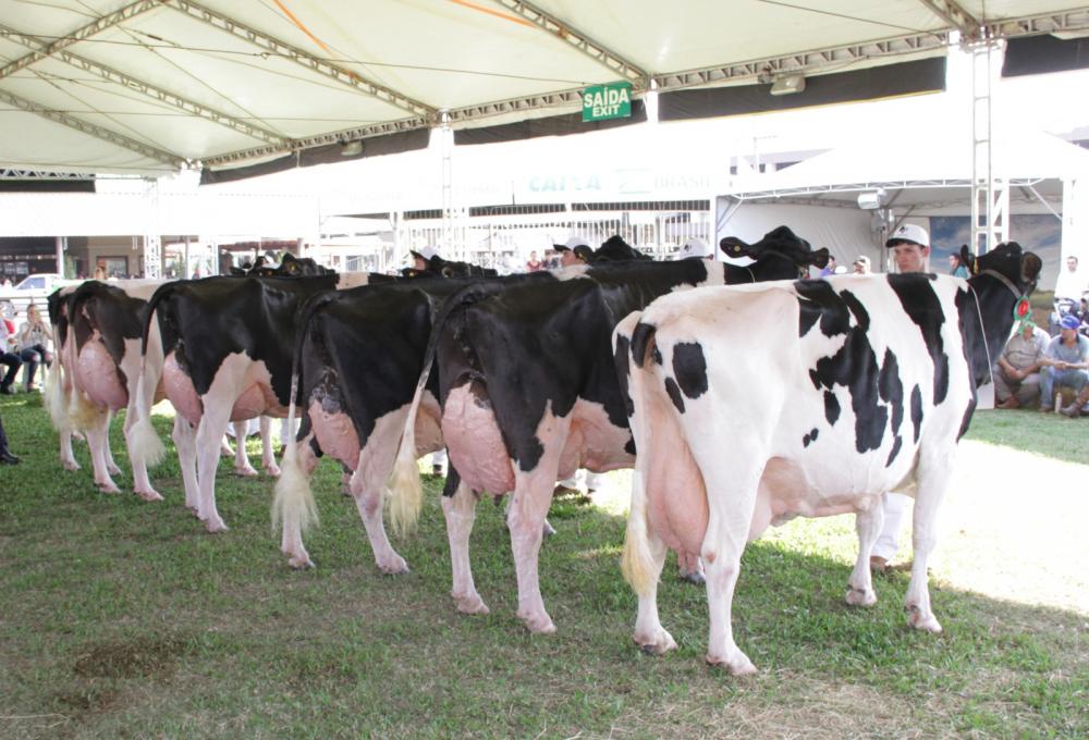 Foto: JM Alvarenga/Divulgação