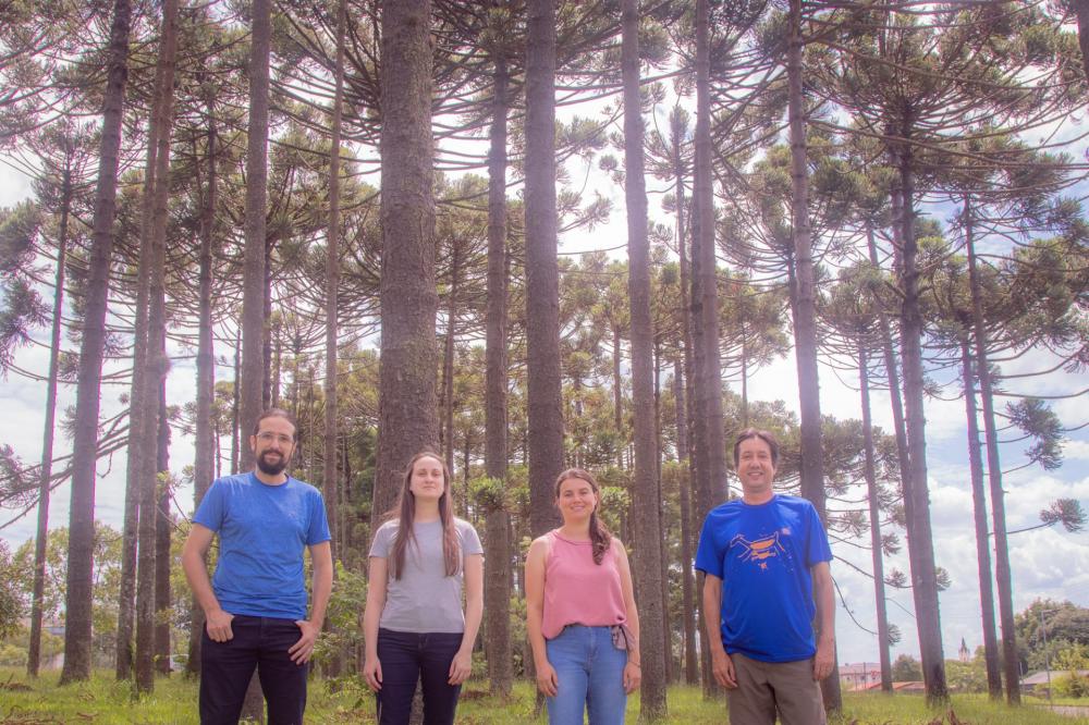 Grupo com professores da UEPG descobre registro rupestre inédito de araucárias