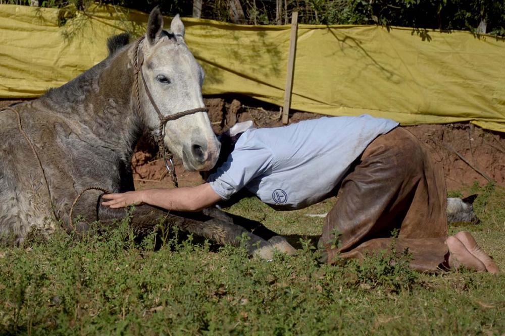 O encantador de cavalos, Bruxo dos Potros cavalga da Fronteira a Padroeira