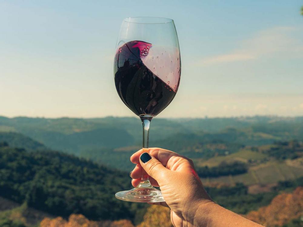 Os vinhos de inverno são uma grande oportunidade para o comércio exterior conhecer o potencial inovador das vinícolas nacionais.