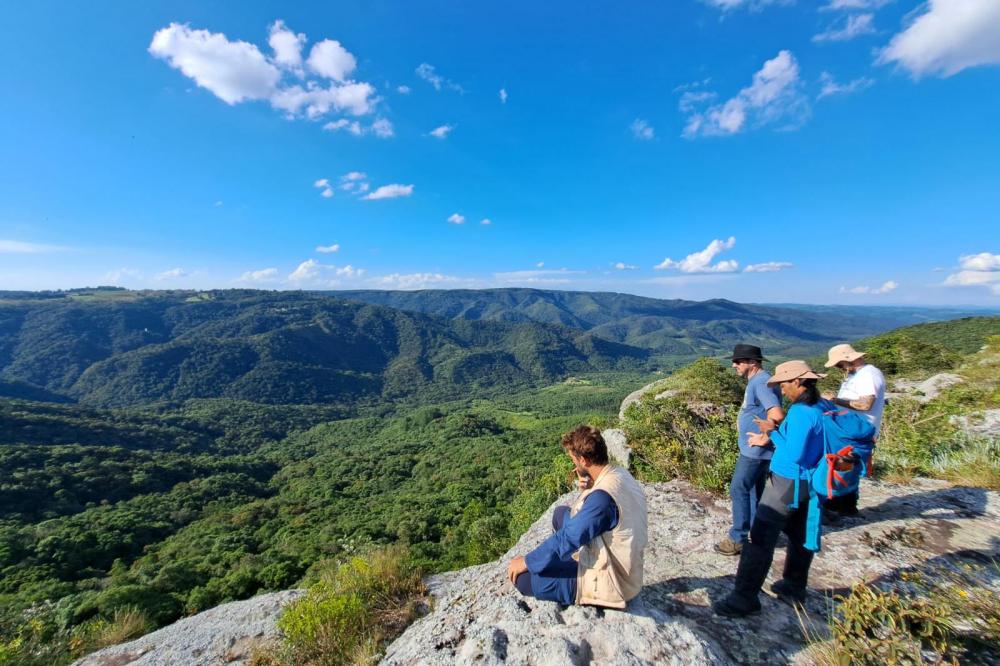 Expedição encontra três plantas ameaçadas de extinção, uma delas pela primeira vez desde 1995 Foto: Sedest
