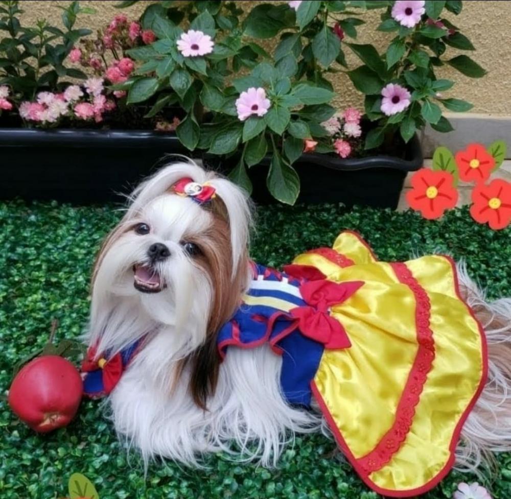 Entre as fantasias mais procuradas para essa folia animal estão os personagens de desenhos animados, especialmente os super-heróis como mulher maravilha, camisetas de super heróis, roupas de princesas, príncipes, mickey, minnie, gravatinhas e até bailarin