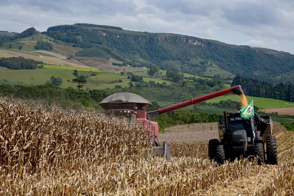 Descubra como a constituição de uma holding rural pode reduzir a carga tributária da atividade produtiva, possibilitando uma gestão mais eficiente sobre as despesas e aumentando a rentabilidade do negócio Foto Toninho Anhaia.