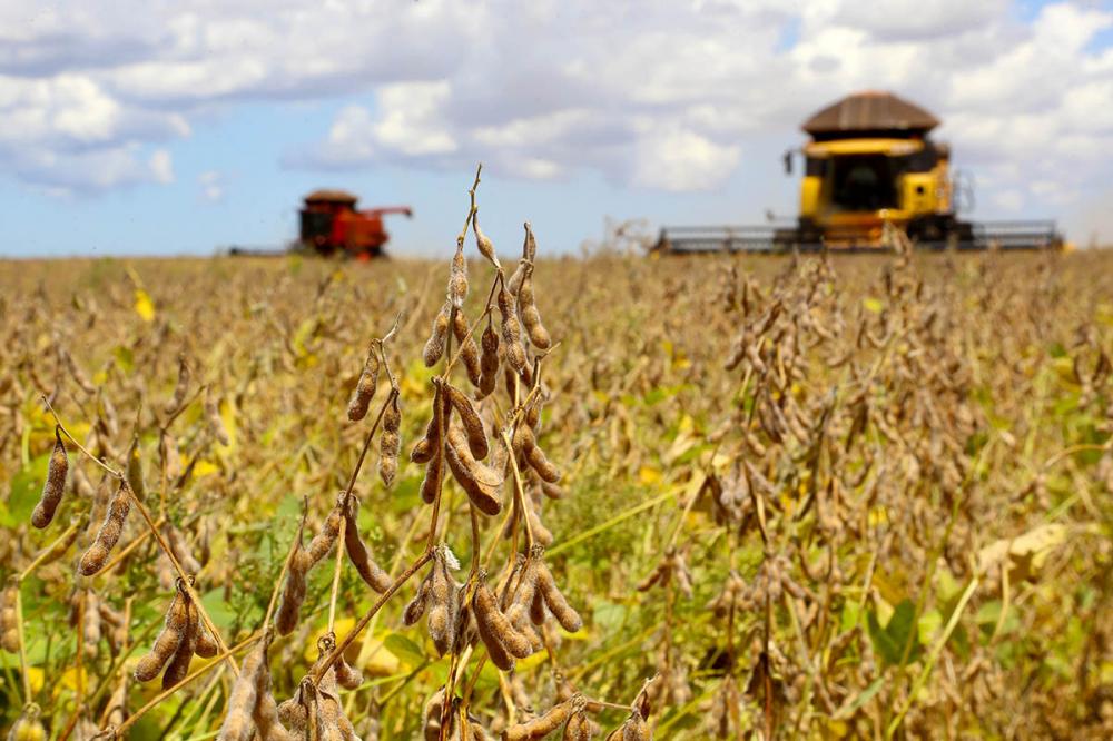 O aumento de produtividade surpreendeu os analistas do Deral. Houve perdas nas culturas da segunda safra, em decorrência da falta de chuvas, mas elas foram compensadas ao produtor com o aumento nos preços dos produtos.