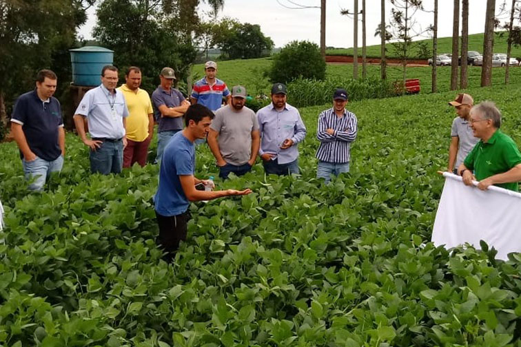Maringá realiza concurso regional de qualidade na colheita de soja Foto: IDR-PARANÁ