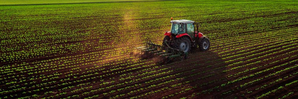 Apesar da maior parte do volume de dinheiro do PAP ser destinado à agricultura, a pecuária também integra as propostas elaboradas pelas entidades paranaenses. 