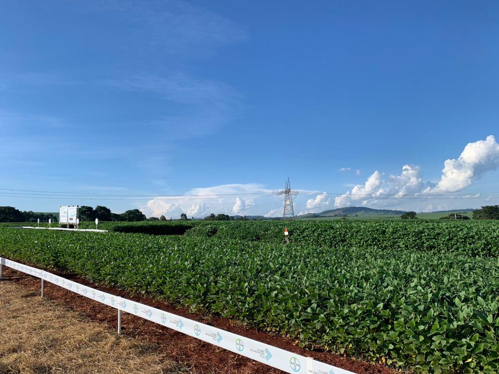 Em Santa Cruz das Palmeiras são conduzidos estudos em laboratórios, casas de vegetação e em campos experimentais para o desenvolvimento de novas soluções, biotecnologias e produtos de proteção de cultivos, desde a etapa de descoberta até as fases de pré-l