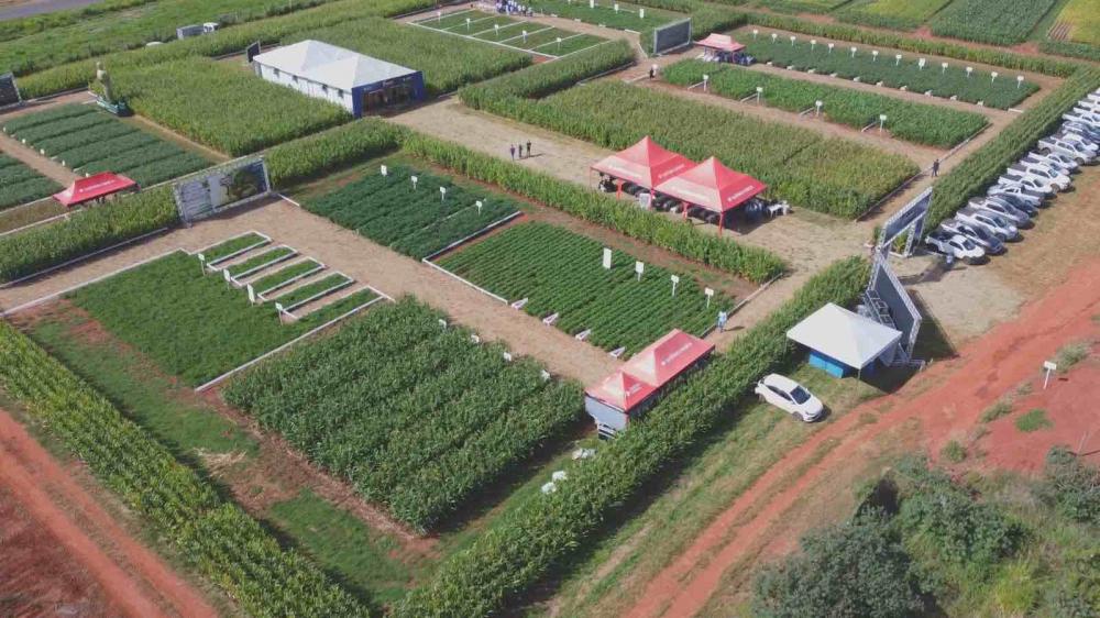 O Experiência está acontecendo na Estação Experimental Genetic Seeds, em uma área de 6 hectares onde há spots para herbicidas, inseticidas, fungicidas e os BioRacionais, formados por soluções sustentáveis e de origem biológica. 