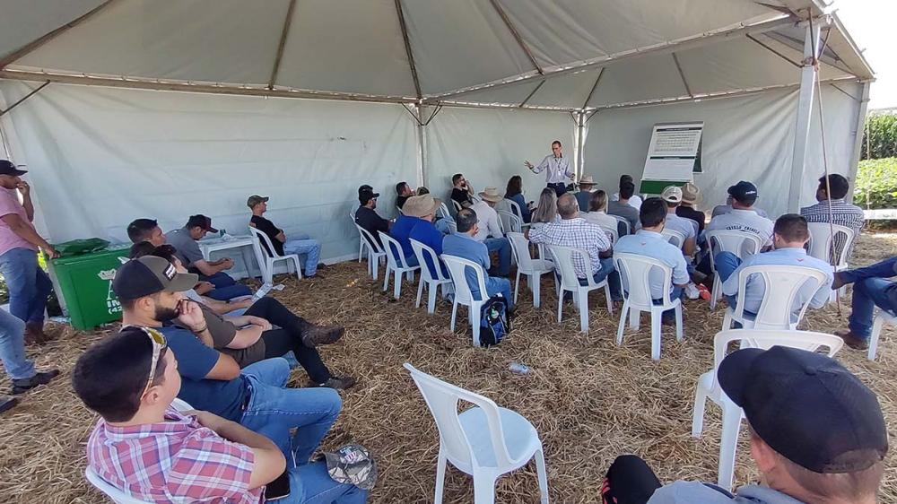 O Show Tecnológico de Verão é um evento importante para a atualização do conhecimento dos produtores rurais brasileiros. Fotos Toninho Anhaia.