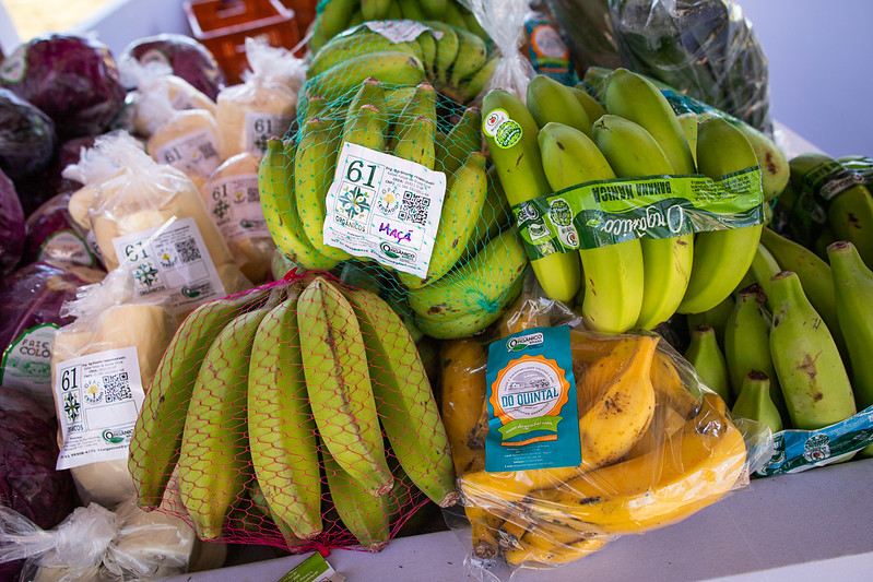 Atualmente, o Paraná é o estado com o maior número de produtores orgânicos certificados do País, com 3.919 produtores, segundo dados do Cadastro Nacional de Produtores Orgânicos (CNPO), disponível no portal Ministério da Agricultura e Pecuária (Mapa). Fot
