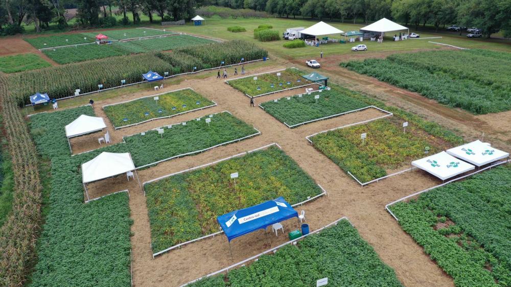 A intenção é discutir com os produtores e técnicos temas relevantes para o aumento da qualidade e produtividade das lavouras. Foto IDR-Paraná.