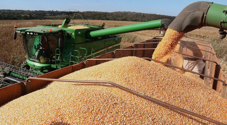 Foto: Divulgação/Governo de Mato Grosso do Sul
