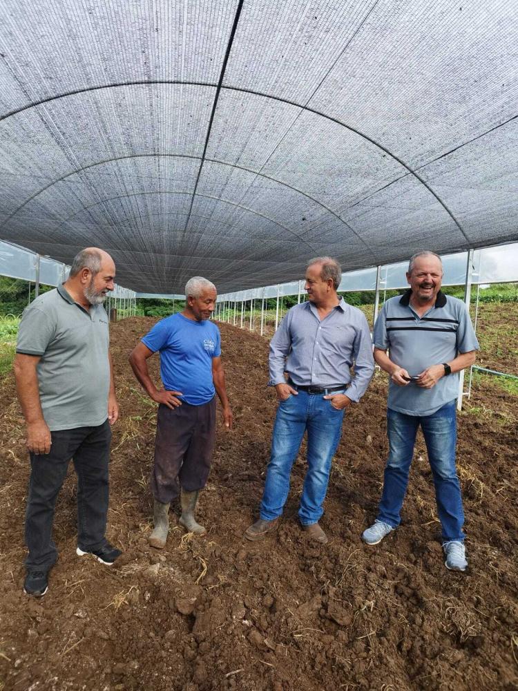 Após receberem da Prefeitura a estufa, de 350 metros quadrados, e com sistema de irrigação completo instalado, os produtores fizeram a preparação e adubação da terra. 