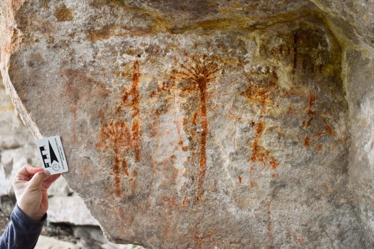 A produção apresenta cavidades com pinturas rupestres, figuras do Abrigo da Metamorfose e imagens exclusivas da descoberta das pinturas de Araucárias, cujo artigo foi divulgado em fevereiro deste ano.