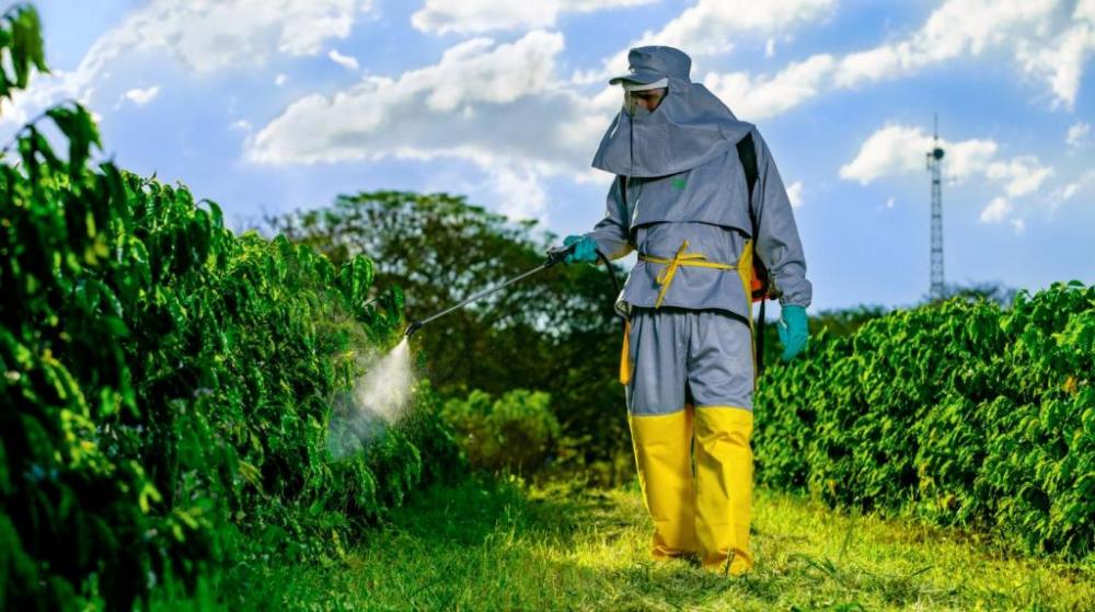 Foto: Divulgação/BASF.