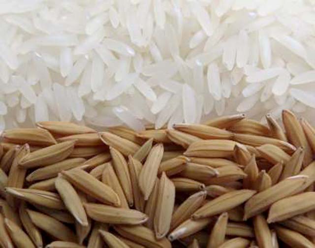 O SCS125 é adequado à parboilização e apresenta bom desempenho para arroz branco
