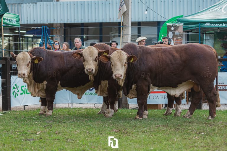 Outro ponto importante para a realização da inscrição é que os animais participantes da exposição devem estar obrigatoriamente com o exame de DNA de paternidade. 