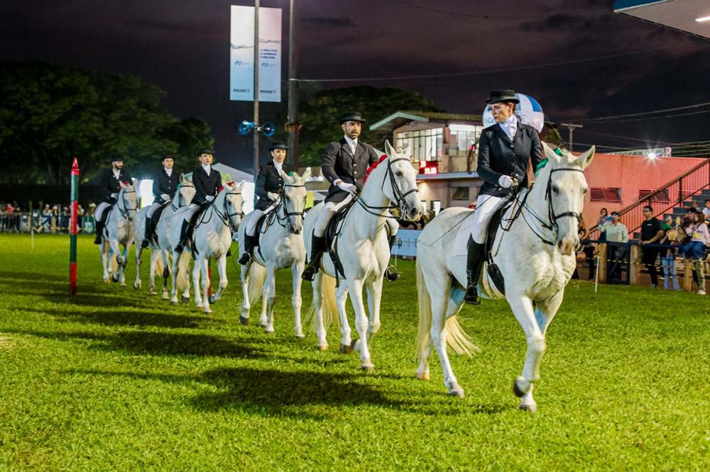 O Brasil é um dos maiores criadores do Puro Sangue Lusitano, que tem origem em Portugal, com um plantel em torno de 12 mil cavalos.