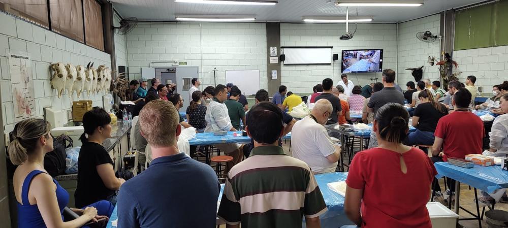  Foto: Felipe Nunes/CDA