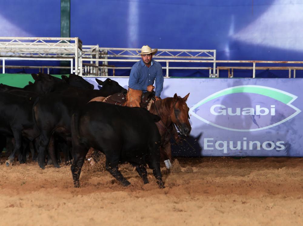 Guabi oferece soluções nutricionais para as diferentes fases de desenvolvimento dos cavalos de alto desempenho e próprias para cada modalidade esportiva que disputam. Foto: Divulgação/ABQM