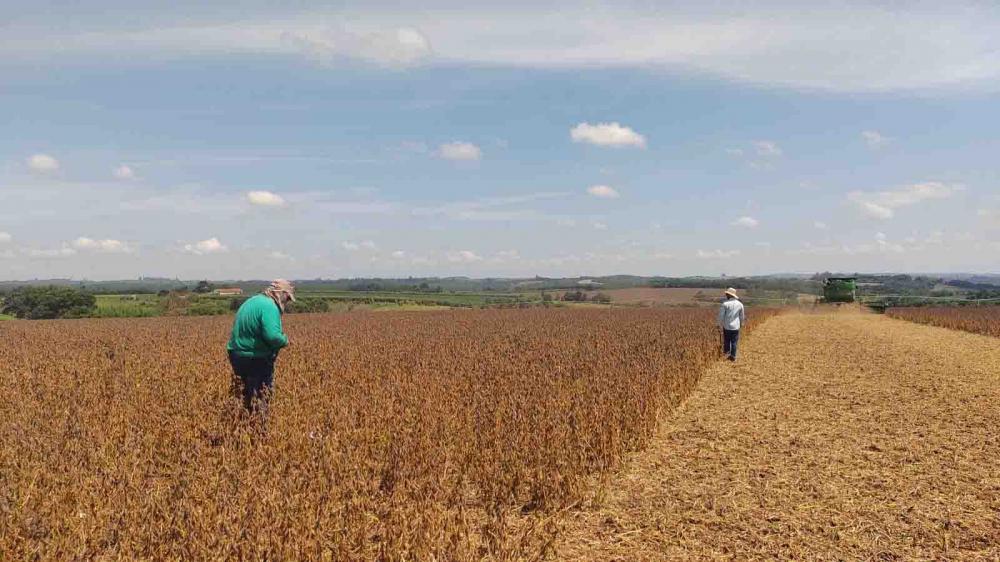 Com 6.500 participantes, a 15ª edição do Desafio Nacional de Máxima Produtividade de Soja registrou recorde de inscrições. O processo para solicitar auditorias se encerra no dia 10 de maio de 2023.