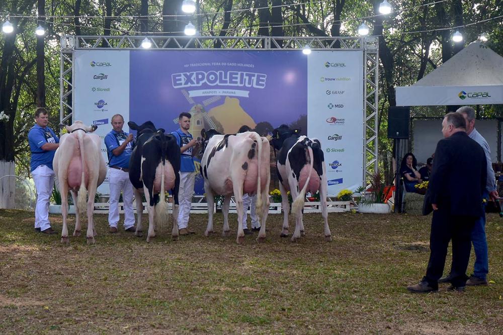 Expoleite 2023: evento confirmado entre os dias 13 e 15 de julho, no Parque de Exposições Capal, em Arapoti/PR. Com atrações como o julgamento de gado Holandês e o Clube da Bezerra, a feira é considerada uma das mais tradicionais do setor leiteiro brasile