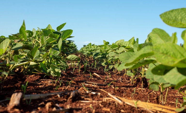 O Zarc é uma ferramenta de análise do risco que auxilia a tomada de decisão no campo, considerando a probabilidade de ocorrência de adversidades climáticas baseada numa série histórica de dados climáticos, além de características da cultura e do solo. 