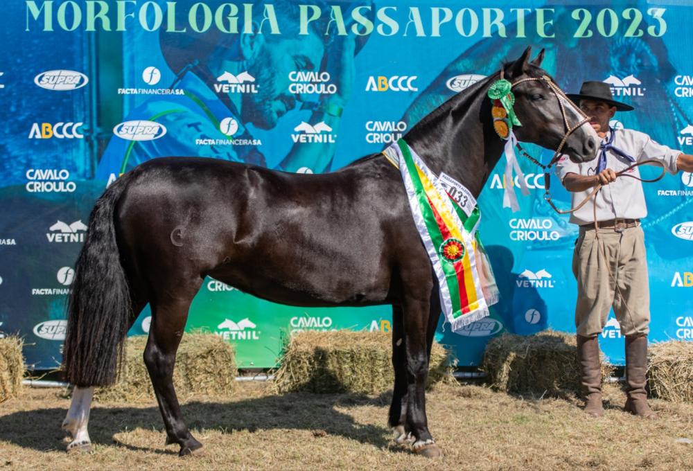 Foto: Felipe Ulbrich/Divulgação (Farrapa 1530 da Escondida)