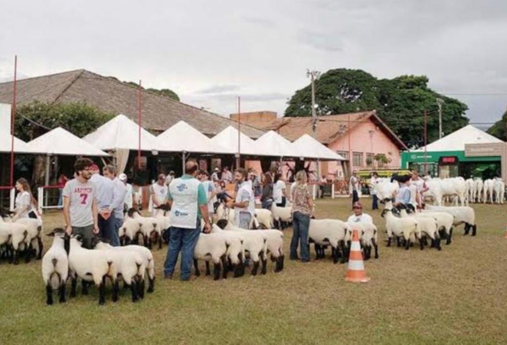Os julgamentos no evento serão válidos pelo Ranking Paranaense de 2023, promovido pela Ovinopar.