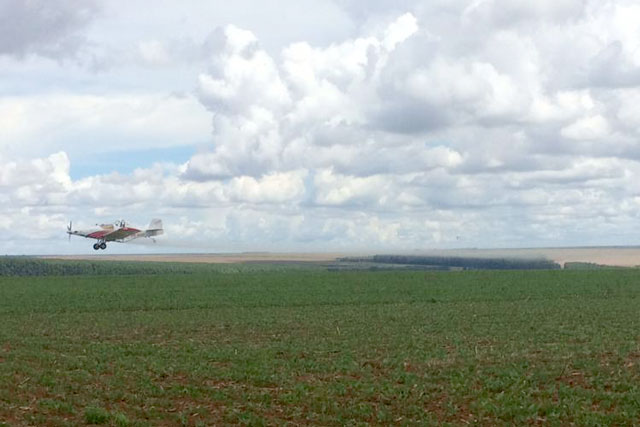 No cenário agro, a aplicação de defensivos agrícolas é essencial para o desenvolvimento e a produtividade de algumas culturas, porém, para a vida das abelhas, é necessária uma distância segura nesse processo. Foto: Paulo Márcio Villela