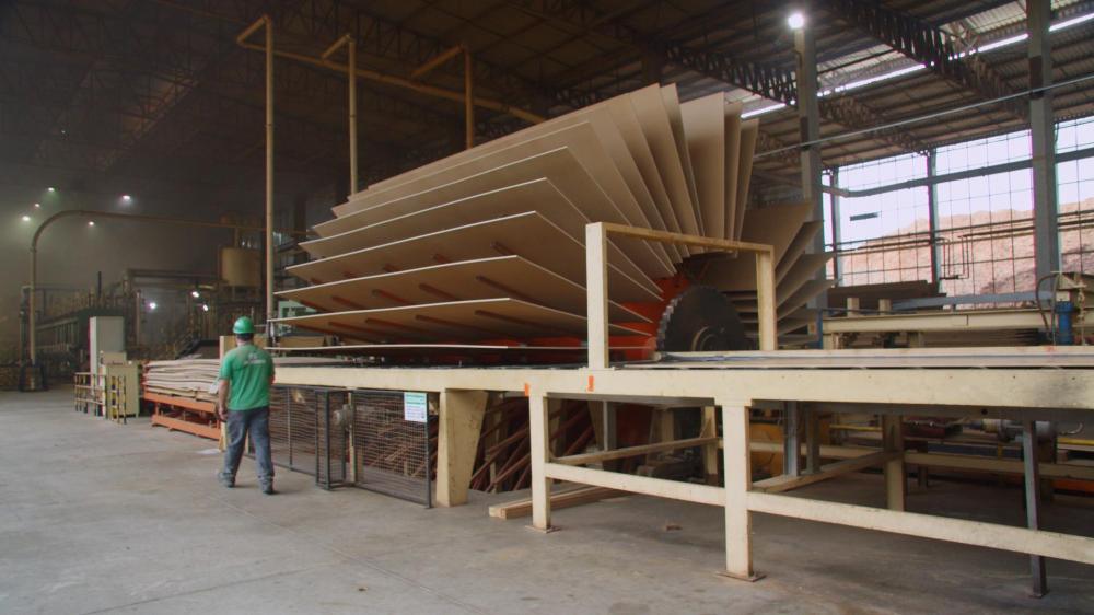Exportações de produtos madeireiros caem no primeiro trimestre de 2023, alerta CEO da WoodFlow sobre prejuízos ao setor e necessidade de medidas sustentáveis.