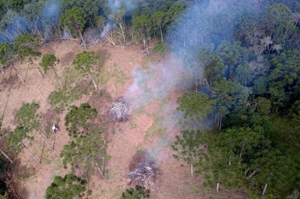 Fiscalização aérea, por satélite e aeronaves, que ocorre em todo o Estado.Fotos: IAT