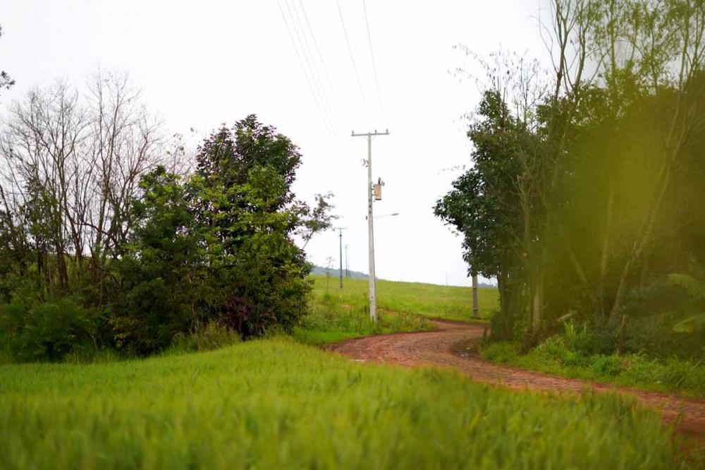 É muito mais energia para dar suporte a novos investimentos e ao crescimento do Paraná, com foco no agronegócio.