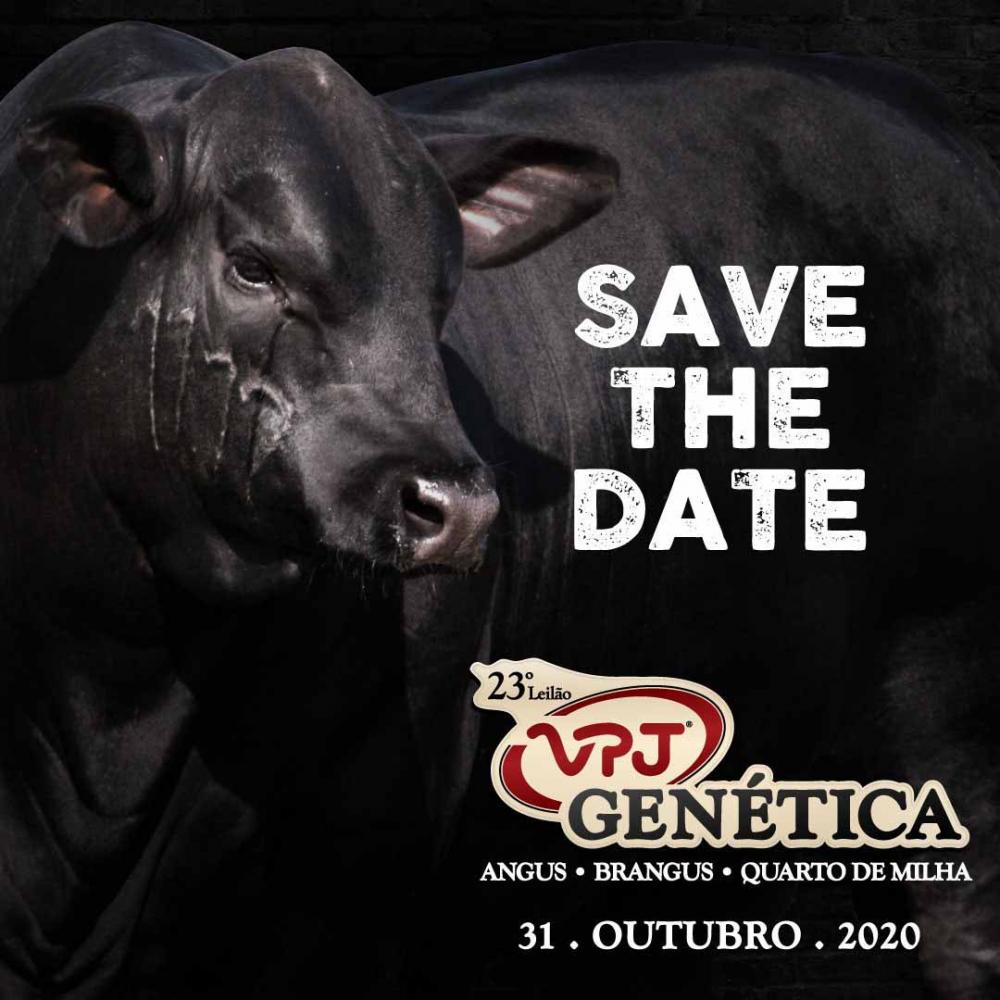 O leilão coloca em pista animais com alta performance genética para aprimorar o rebanho de criadores atentos em alto desempenho.