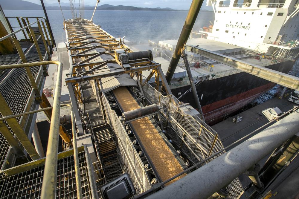 Portos do Paraná registram alta na movimentação geral de carga em abril Foto: Claudio Neves/Portos do Paraná