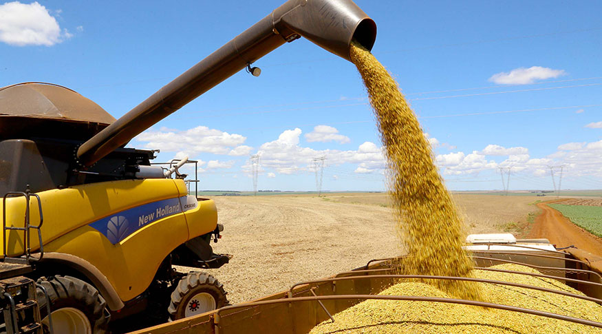 A produção de soja deve bater recorde em 2023, chegando a 149,1 milhões de toneladas - Foto: Jaelson Lucas/AEN-PR