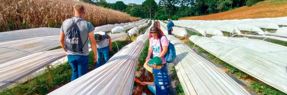 O curso atende uma demanda do campo, devido à necessidade de métodos efetivos de prevenção e controle de doenças, e do mercado, por conta da procura por alimentos sem resíduos