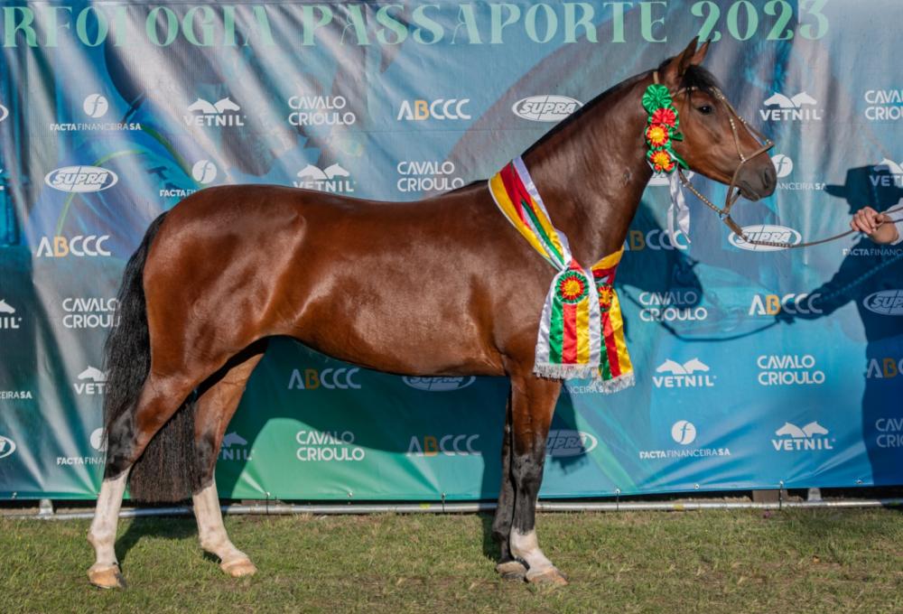 Foto: Felipe Ulbrich/Divulgação (Tequila do Ichú)