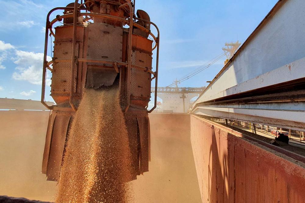 A soja em grãos registrou exportações de 14,34 milhões de toneladas em abril, um aumento de 25%. Foto: Nájia Furlan/ Portos do Paraná