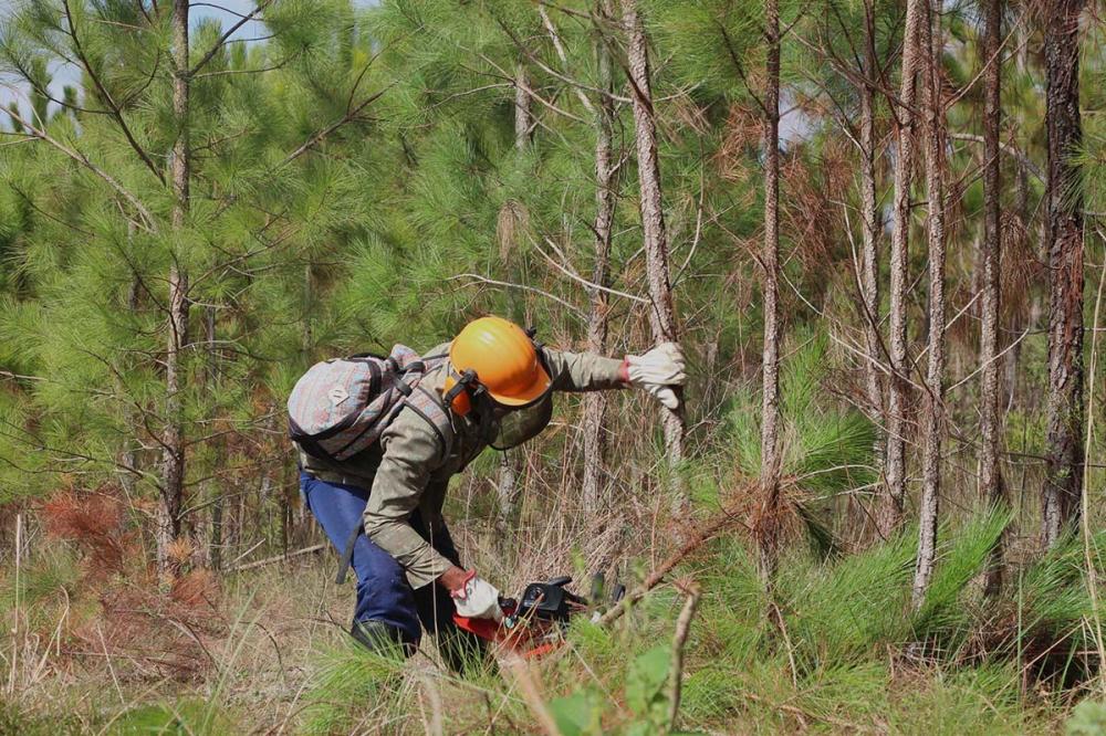 A ação se repete há oito meses e tem feito a diferença no trabalho de conservação da biodiversidade da região. Fotos: Erica Fernanda/IAT