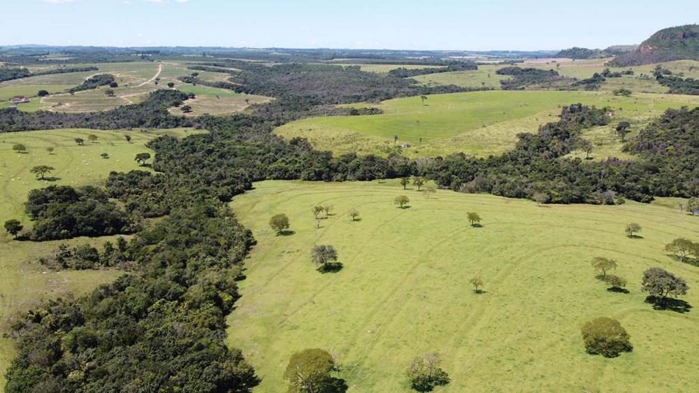 Área onde será construída nova unidade da Aviagen em Santo Antônio da Alegria (SP) Divulgação Aviagen