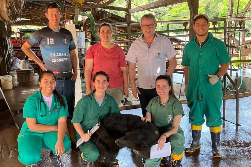 Trabalho do IDR-Paraná facilita controle da mastite em rebanhos de produtores familiares Foto: IDR