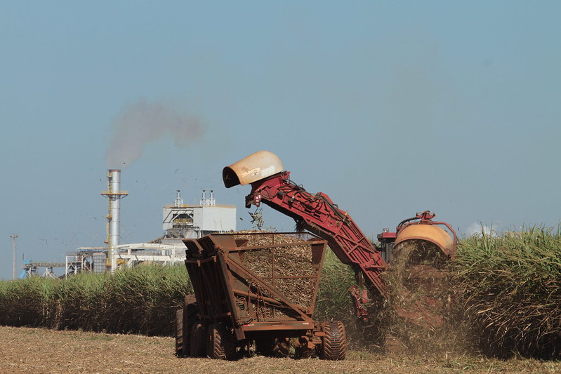 Cana-de-açúcar, feijão, laranja, milho, soja e tomate devem apresentar neste ano recorde de faturamento. Entre estes, milho, soja e cana-de-açúcar, que representam 72,8% do valor bruto de produção das lavouras. Foto Sistema CNA/SENAR