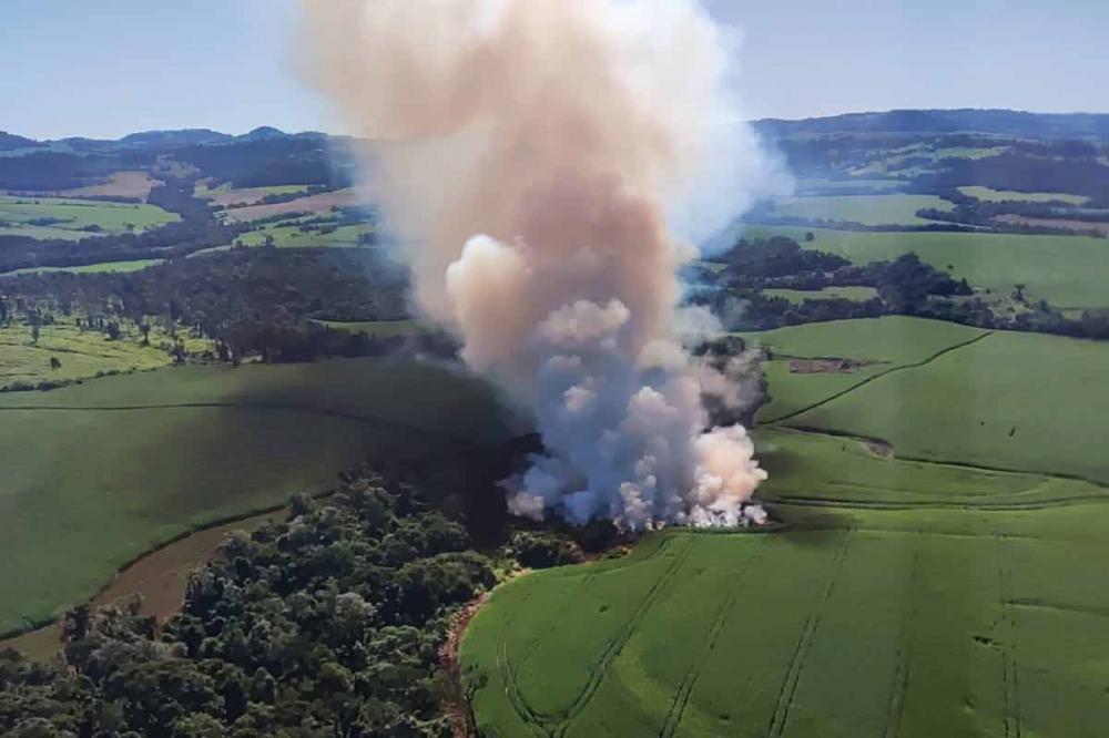 Primeira ação do IAT após parceria com a Marinha termina com prisão e multas por desmatamento Foto: IAT