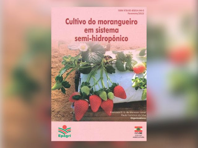 Obra tem 316 páginas e é fartamente ilustrada